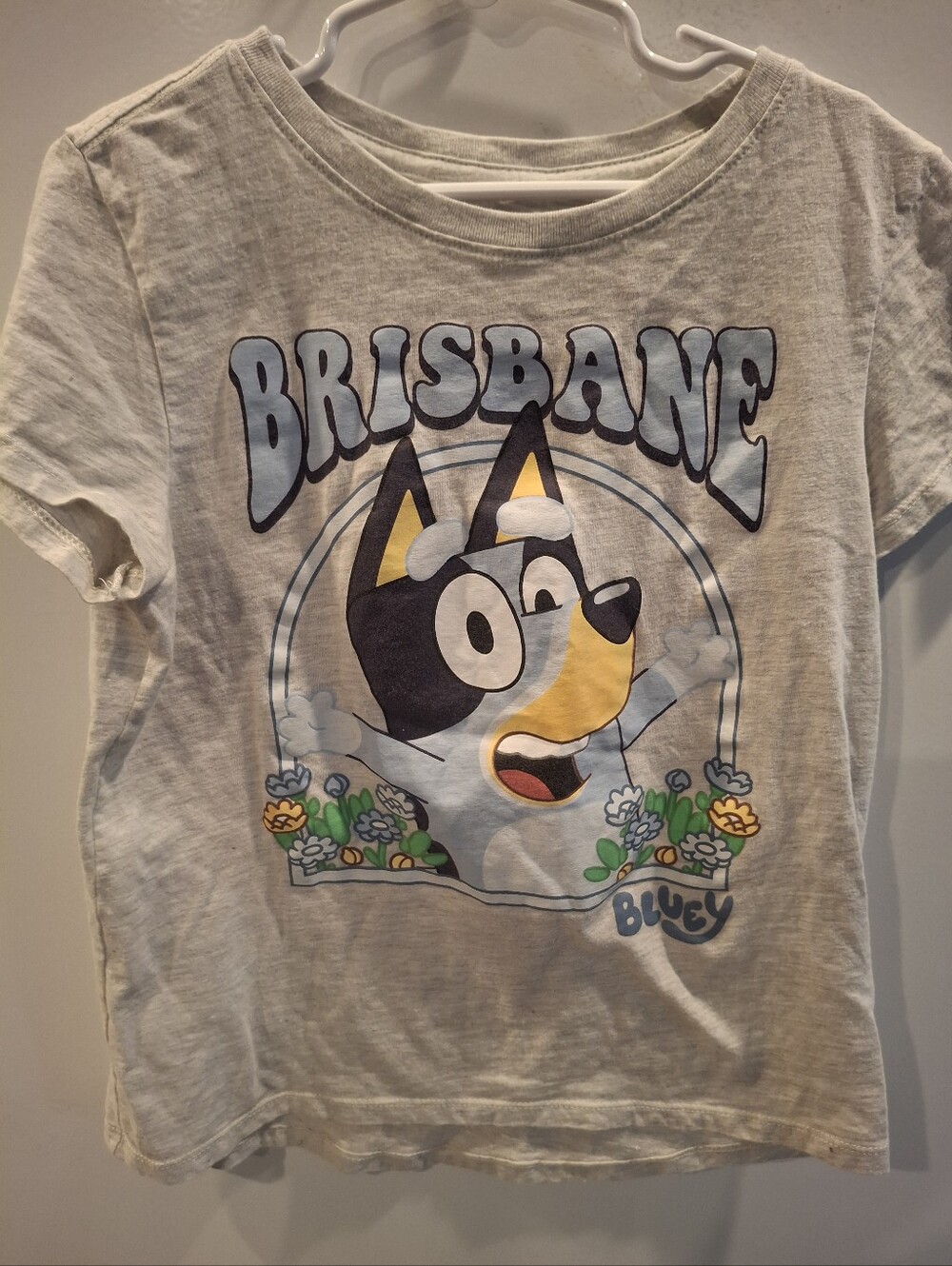 Lucy Light Gray Bluey Brisbane Graphic Tee